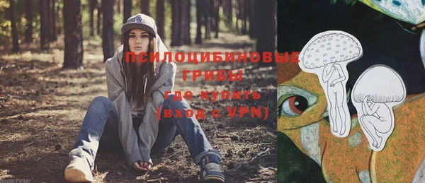 ГАЛЛЮЦИНОГЕННЫЕ ГРИБЫ Красноперекопск